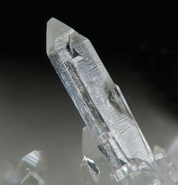 Pachnolite.jpg