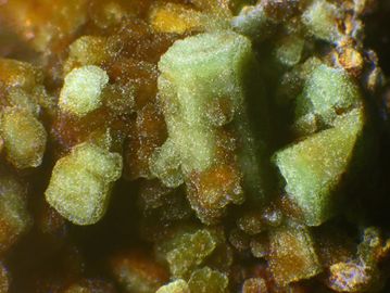 Hidalgoite-3.jpg