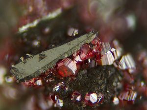 Livingstonite-5.jpg