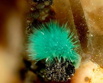 Agardite-(Y)-4.jpg