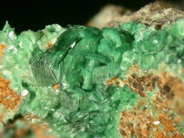 Metazeunerite-3.jpg