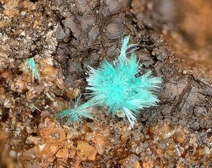 Agardite-(Y).jpg
