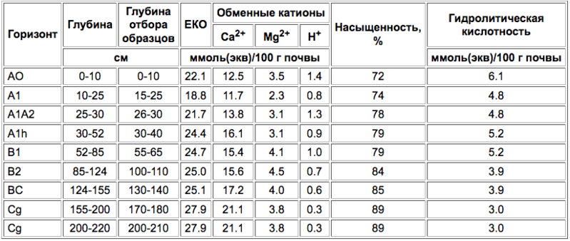 Файл:Temno-serye lesnye pochvy-5.png