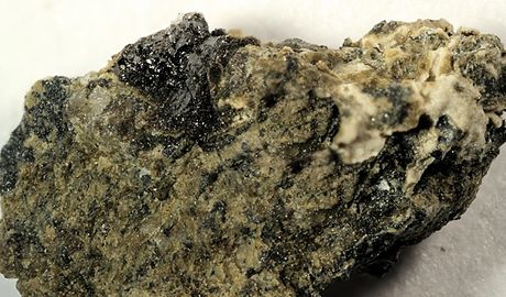 Synadelphite-5.jpg