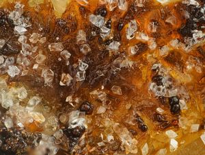 Philipsbornite-1.jpg