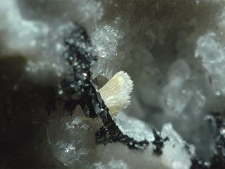 Valentinite-6.jpg