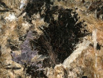 Umbozerite-5.jpg