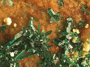 Clinoatacamite-8.jpg