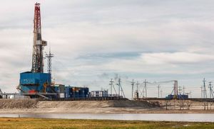 Megionskoe neftyanoe mestorozhdenie-8.jpg