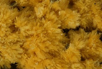 Deliensite-8.jpg