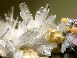 Valentinite-14.jpg