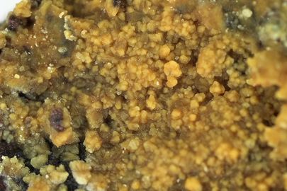 Ammoniojarosite-3.jpg