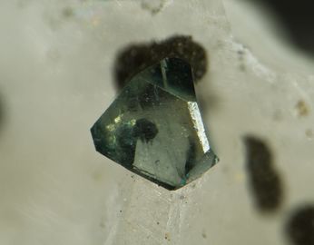 IOWAITE-1.jpg