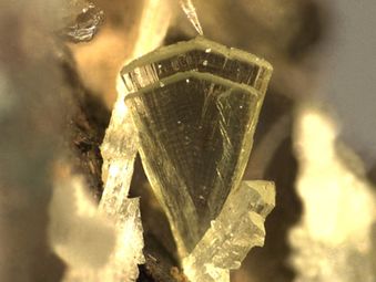 Valentinite-12.jpg