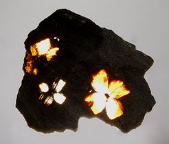 Andalusite-5.jpg
