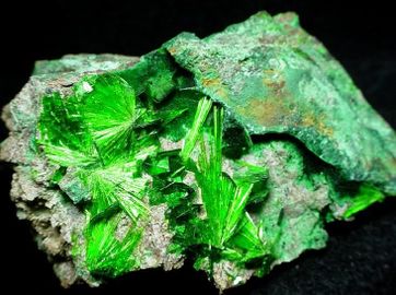 Torbernit-8.jpg
