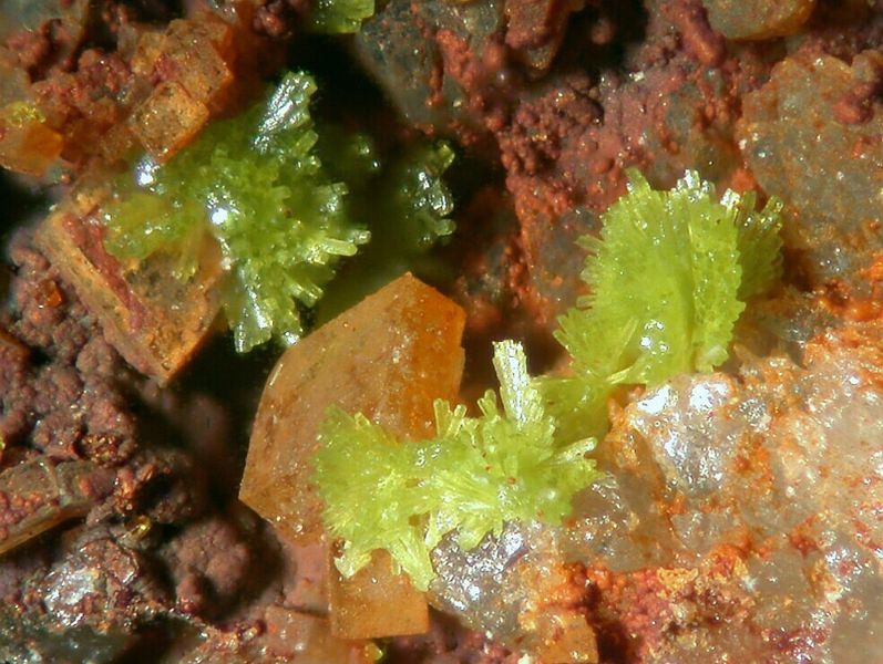 Файл:Emmonsite-8.jpg