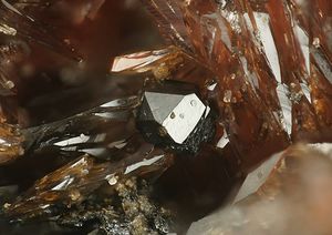 Synadelphite-3.jpg