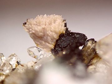 Tilasite-4.jpg