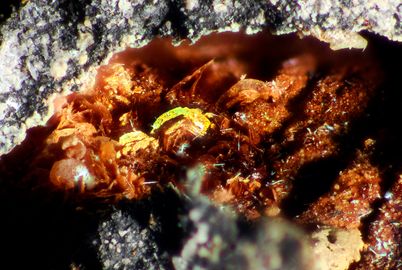 Akaganeite-2.jpg