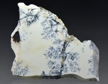 Opal-7.jpg