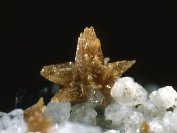 Tilasite-3.jpg