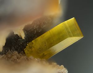 Saleeite-6.jpg