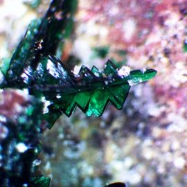 Anatacamite-2.jpg