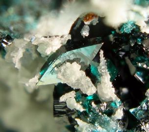 Lammerite-2.jpg