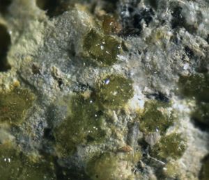 Adolfpateraite-2.jpg