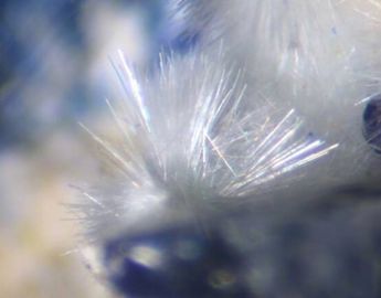 Dundasite-2.jpg