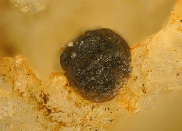 Juonniite-5.jpg