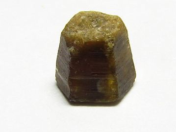 Parisite-4.jpg