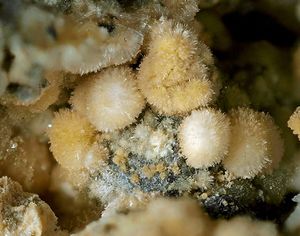 Adranosite-(Al)-4.jpg
