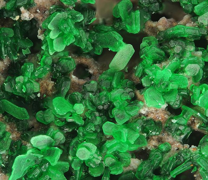 Файл:Euchlorine-7.jpg