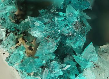 Turquoise-5.jpg