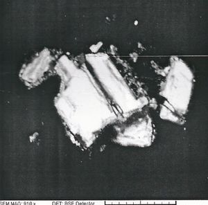 Allohalkoselit.jpg
