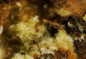 Deliensite-7.jpg
