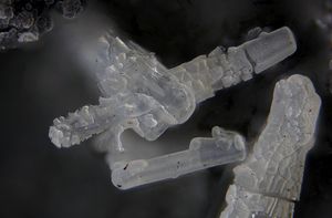 Angastonite-5.jpg
