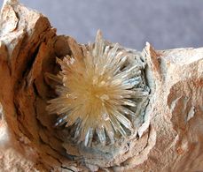 Aragonite-1.jpg