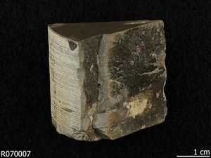 Abelsonite.jpg