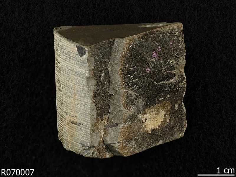 Файл:Abelsonite.jpg