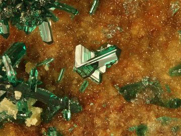 Clinoatacamite-12.jpg