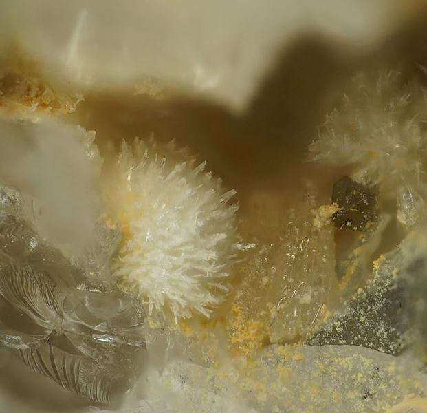 Файл:Oboyerite-1.jpg