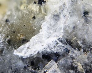 Vimsite-1.jpg