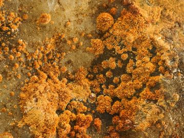Kuranakhite-5.jpg
