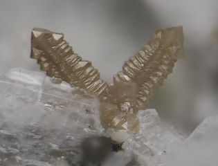 Zircon.jpg