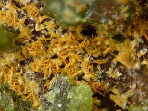 Schmitterite-5.jpg