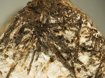 Umbozerite-3.jpg