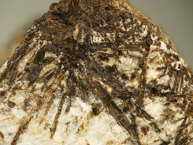 Файл:Umbozerite-3.jpg